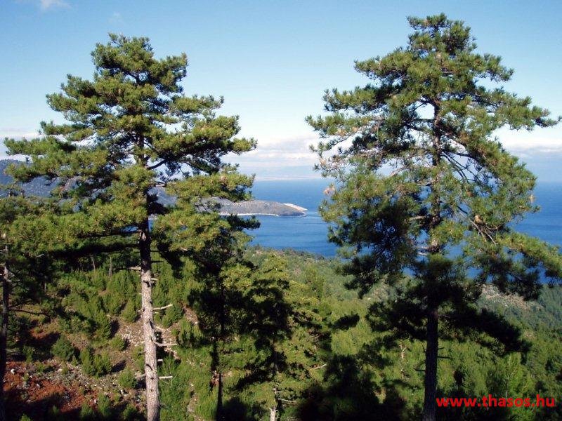 Golden Beach, hegyek